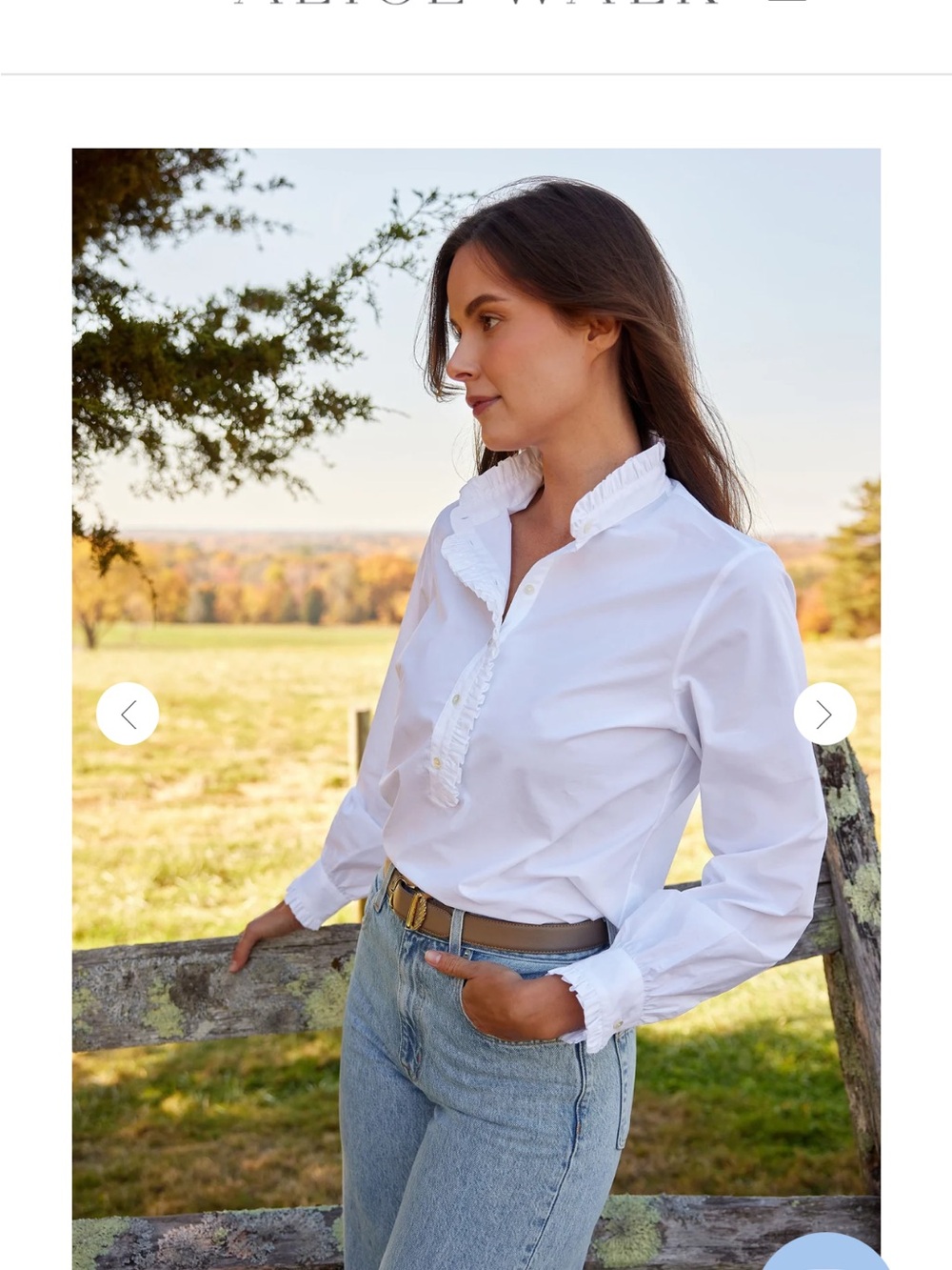 Crisp White Ruffle-Trim Button-Down Blouse
